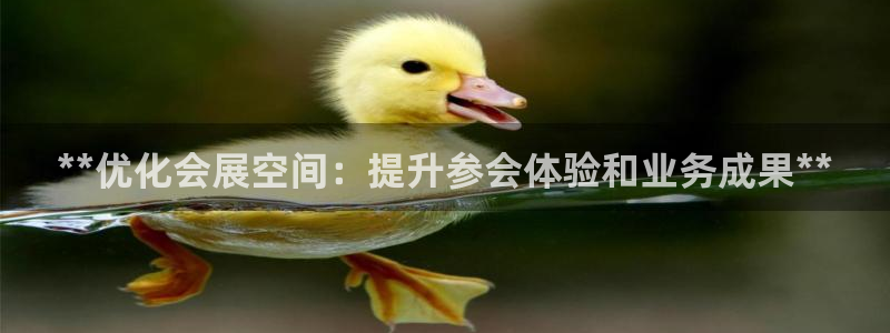 果博注册会员要钱吗：**优化会展空间：提