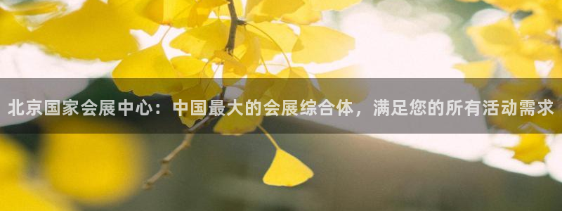 果博代理怎么注册：北京国家会展中心：中国