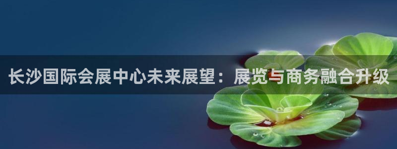 果博客服微信是多少：长沙国际会展中心未来
