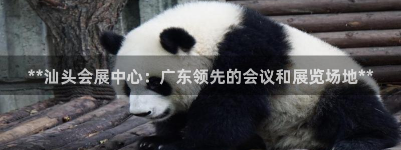 果博平台真实吗知乎怎么样