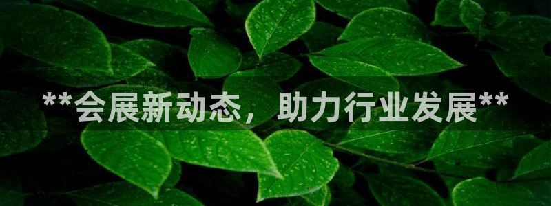果博官网首页：**会展新动态，助力行业发