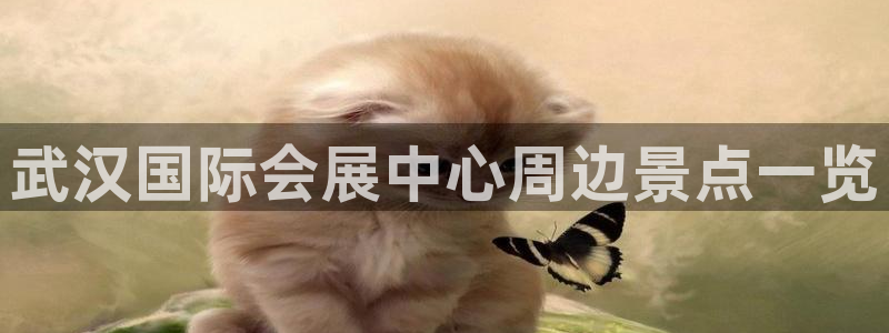果博注册客服电话号码查询：武汉国际会展中