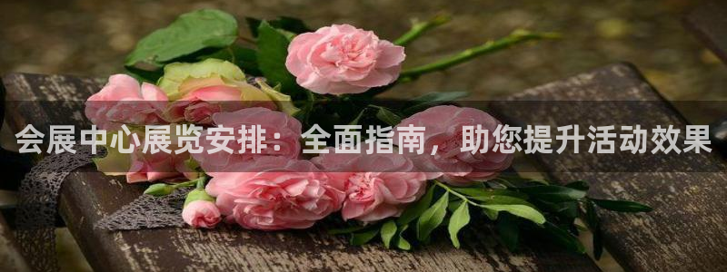 苹果电脑怎么下载伯索：会展中心展览安排：