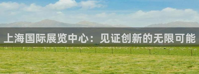 果博公司开户热线：上海国际展览中心：见证