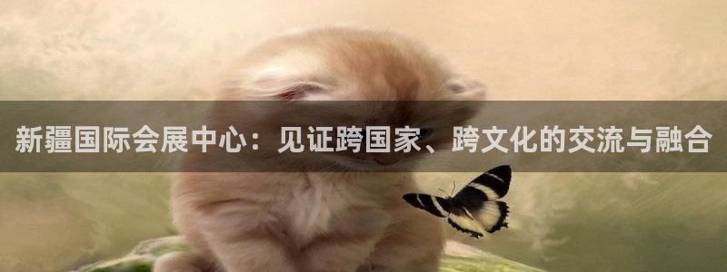果博官网客服电话号码是多少：新疆国际会展