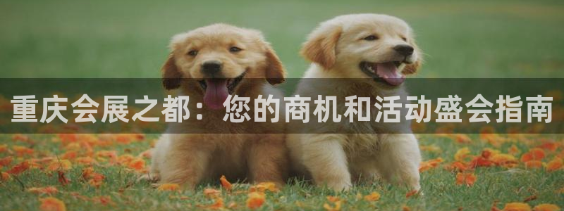 果博客服电话哪里找：重庆会展之都：您的商