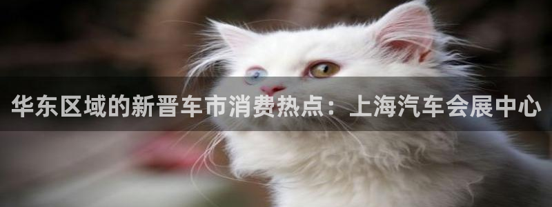 果博公司上分客服：华东区域的新晋车市消费