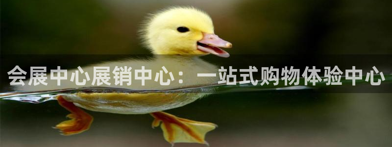 果博官网电话：会展中心展销中心：一站式购